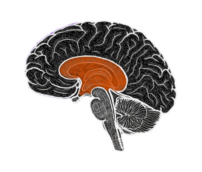 Auto Pilot transparent BG